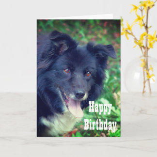 Tarjeta de cumpleaños cursi sonriente de Border Co