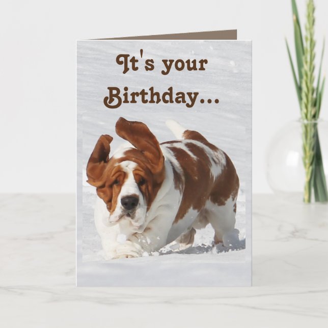 Tarjeta de Cumpleaños Cuta con Libro Basset y Cham (Anverso)