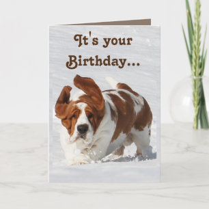 Tarjeta de Cumpleaños Cuta con Libro Basset y Cham