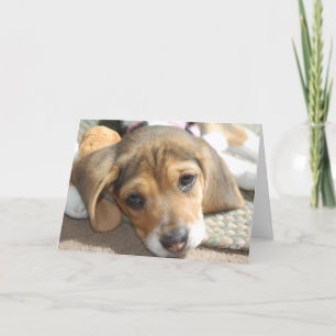 Tarjeta de cumpleaños Cute Beagle Puppy