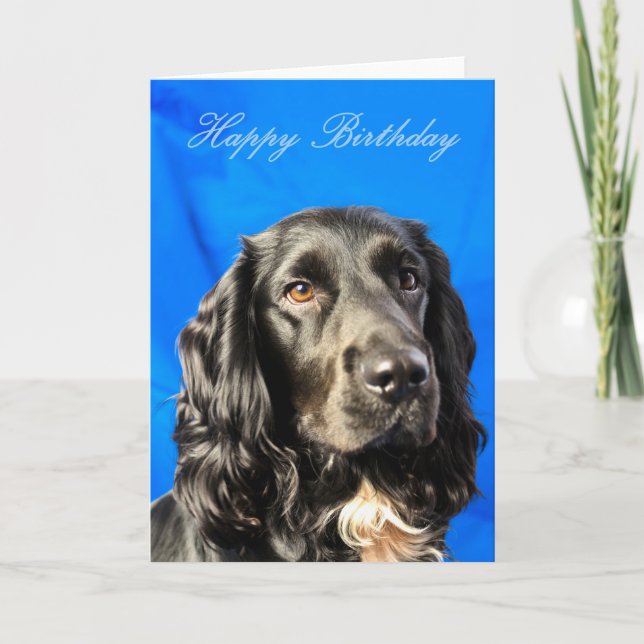 Tarjeta de cumpleaños Cute Dog (Anverso)