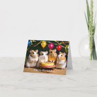 Tarjeta de cumpleaños Cute Hamster