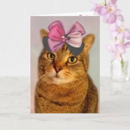 Tarjeta De Cumpleaños Cute Kitty Y Bow