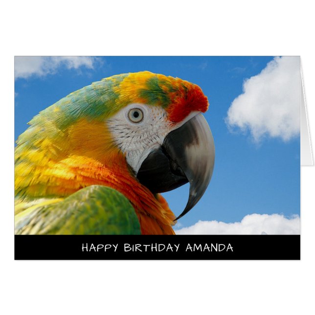 Tarjeta de cumpleaños Cute Parrot (Anverso (Horizontal))