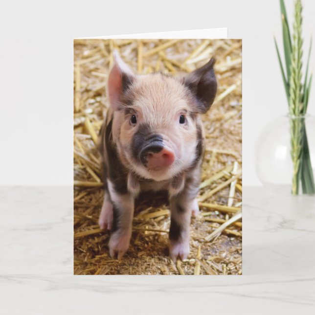 Tarjeta de cumpleaños Cute Pig (Anverso)