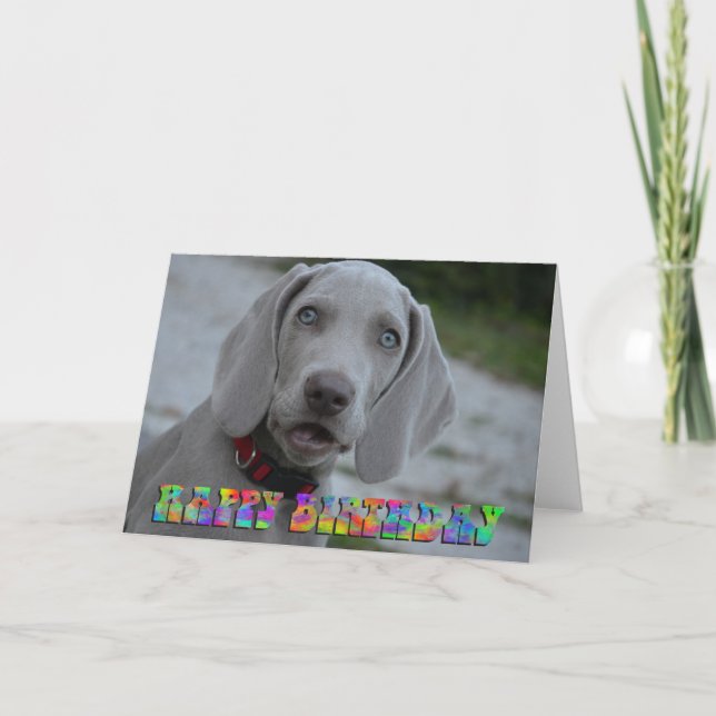 Tarjeta de cumpleaños Cute weimaraner (Anverso)