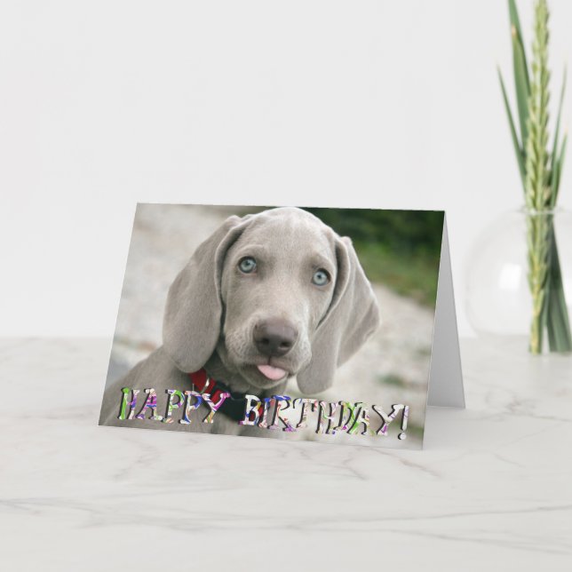 Tarjeta de cumpleaños Cute weimaraner (Anverso)