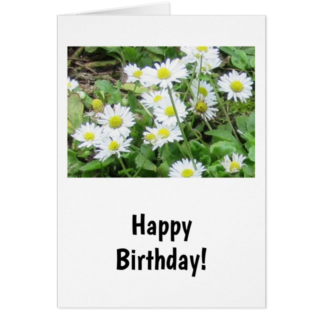Tarjeta de cumpleaños Daisies (Frente)