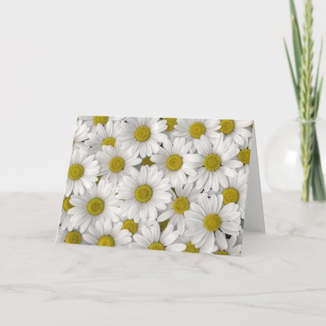 Tarjeta de cumpleaños Daisy (Anverso)