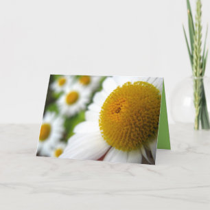 Tarjeta de cumpleaños Daisy