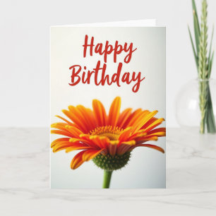 Tarjeta de Cumpleaños Daisy Delight