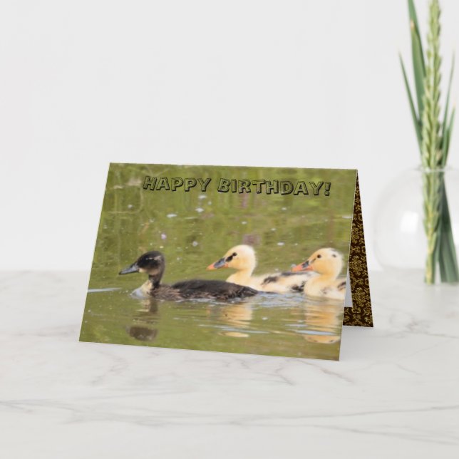 Tarjeta de cumpleaños Dazzling Cute Ducks (Anverso)
