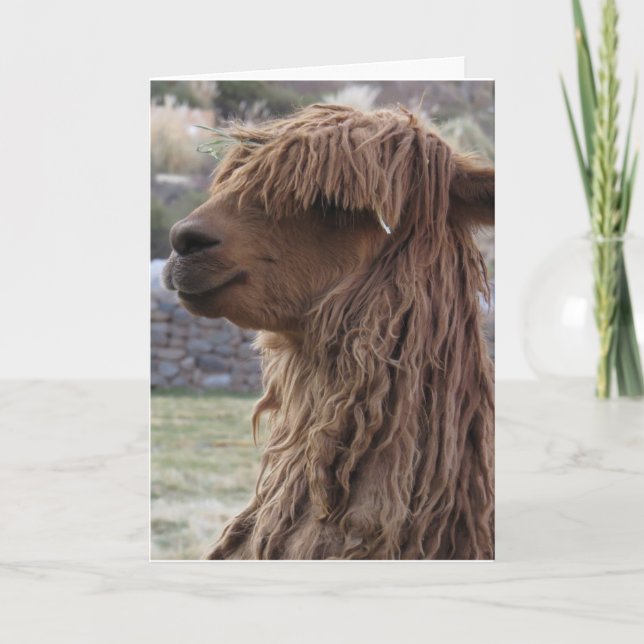 TARJETA DE CUMPLEAÑOS DE ALPACA FOTOGRAFÍA (Anverso)