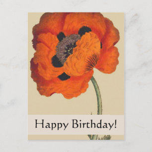Tarjeta de cumpleaños de amapola para botánicos de