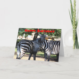 Tarjeta de cumpleaños de amigos de Zebra