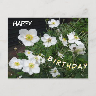Tarjeta de cumpleaños de Anémonas Japonesas Blanca