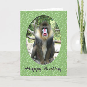 Tarjeta de cumpleaños de animal adorable babuino
