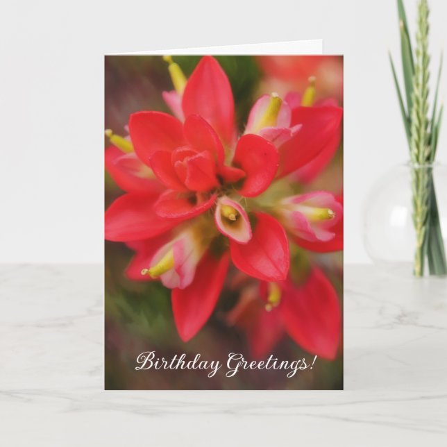 Tarjeta de cumpleaños de arte de Flor silvestre In (Anverso)