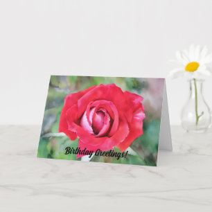 Tarjeta de cumpleaños de arte Rosa Rojo y Rosa
