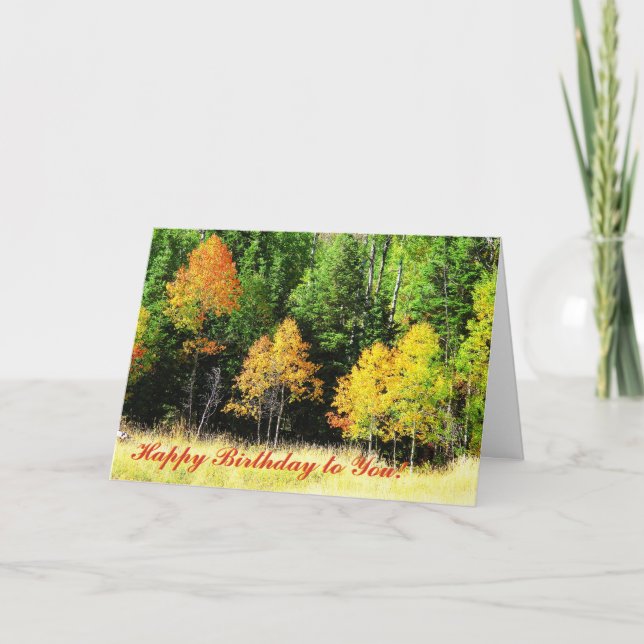 Tarjeta de cumpleaños de Aspen (Anverso)