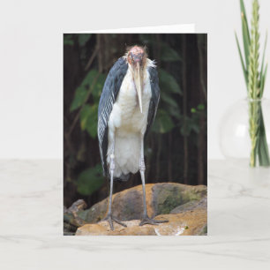 Tarjeta de cumpleaños de ave antigua dura