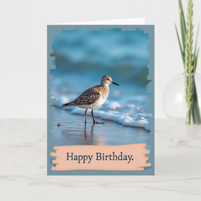 Tarjeta de cumpleaños de ave playera pacífica (Anverso)