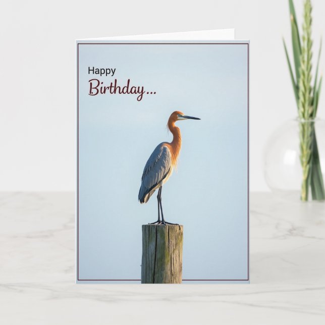 Tarjeta de cumpleaños de Ave Zanquilarga Elegante (Anverso)