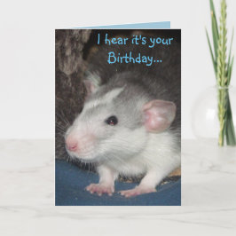 tarjeta de cumpleaños de baby husky Dumbo rat