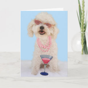 Tarjeta de cumpleaños de Bichon Frise por el foco