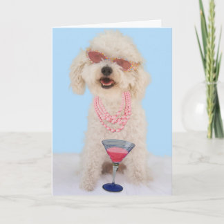 Tarjeta de cumpleaños de Bichon Frise por el foco