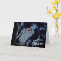 Tarjeta de cumpleaños de Black Border Collie Face 