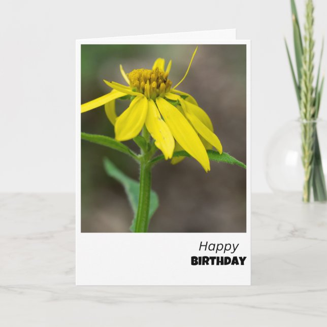 Tarjeta de cumpleaños de Blogom Radiante (Anverso)
