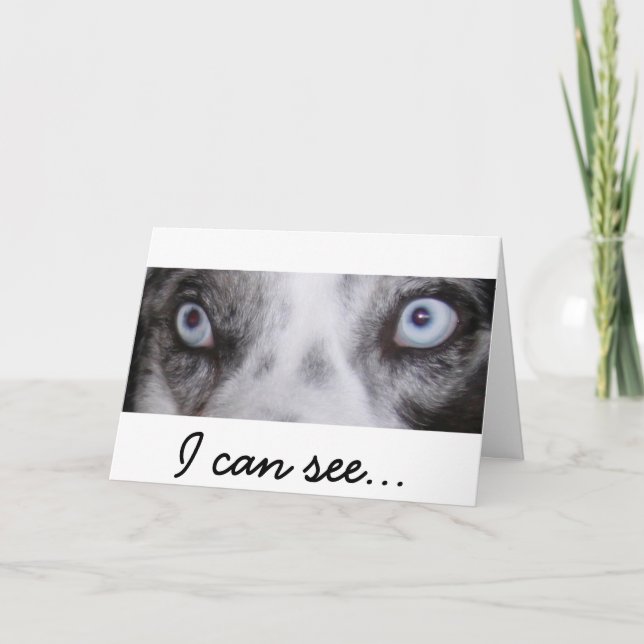 Tarjeta de cumpleaños de Border-Aussie (Anverso)