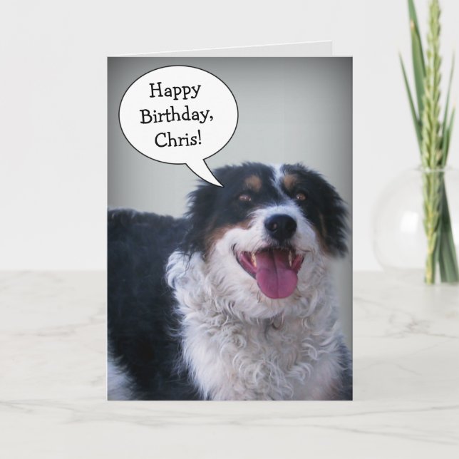 Tarjeta de cumpleaños de Bordercollie (Anverso)