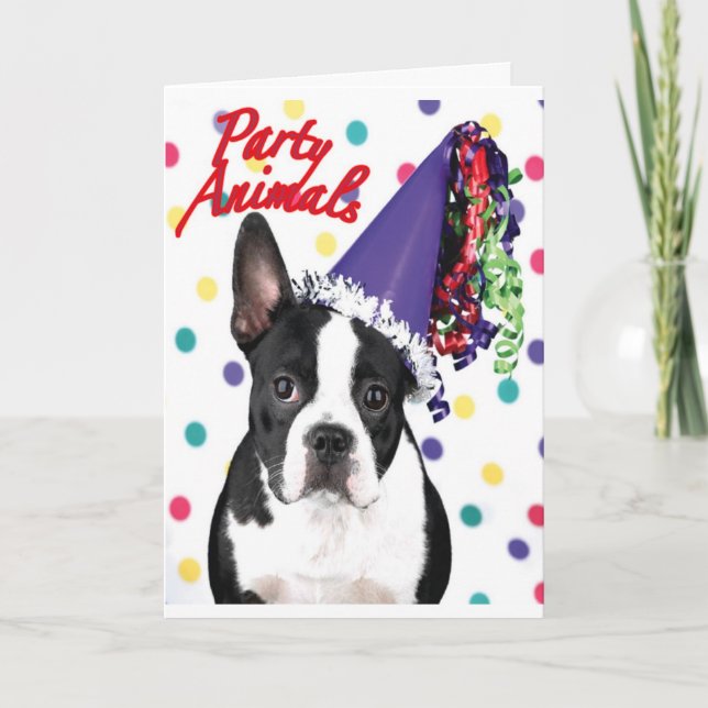 Tarjeta de cumpleaños de Boston Terrier (Anverso)