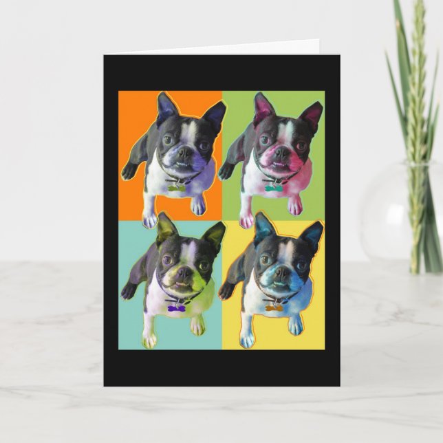 Tarjeta de cumpleaños de Boston Terrier (Anverso)