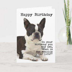 Tarjeta de cumpleaños de Boston Terrier