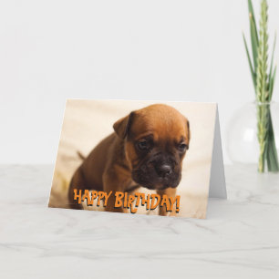 Tarjeta de cumpleaños de boxeador lindo