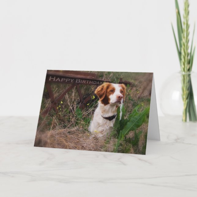 Tarjeta de cumpleaños de Bretaña (Anverso)