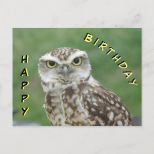 Tarjeta de cumpleaños de búho pequeño lindo