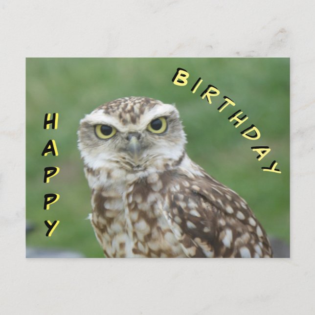Tarjeta de cumpleaños de búho pequeño lindo (Anverso)