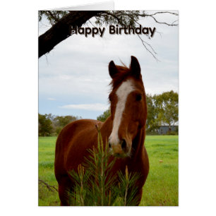 Tarjeta de cumpleaños de caballo castaño oliendo á
