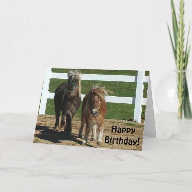 Tarjeta de cumpleaños de caballos en miniatura (Anverso)