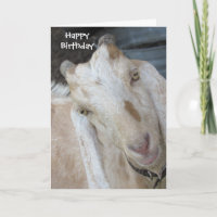 Tarjeta de cumpleaños de cabra antigua - Personali