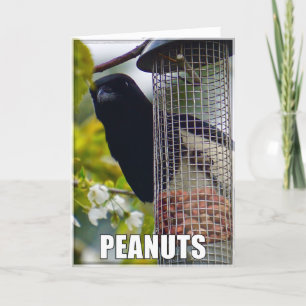 Tarjeta de cumpleaños de cacahuetes o pasteles