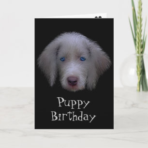 Tarjeta de cumpleaños de cachorro con ojos azules