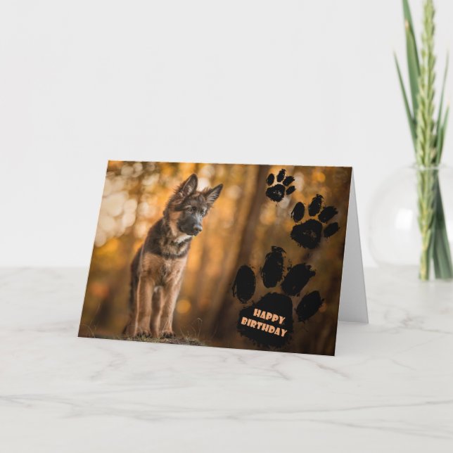 Tarjeta de cumpleaños de cachorro de pastor alemán (Anverso)