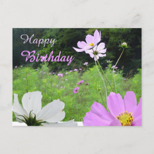 Tarjeta de cumpleaños de campo de flores silvestre