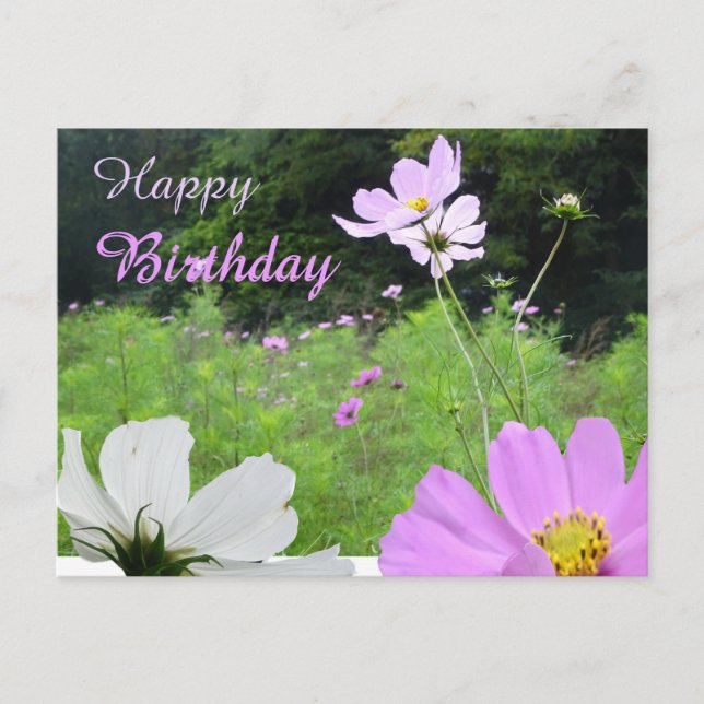 Tarjeta de cumpleaños de campo de flores silvestre (Anverso)