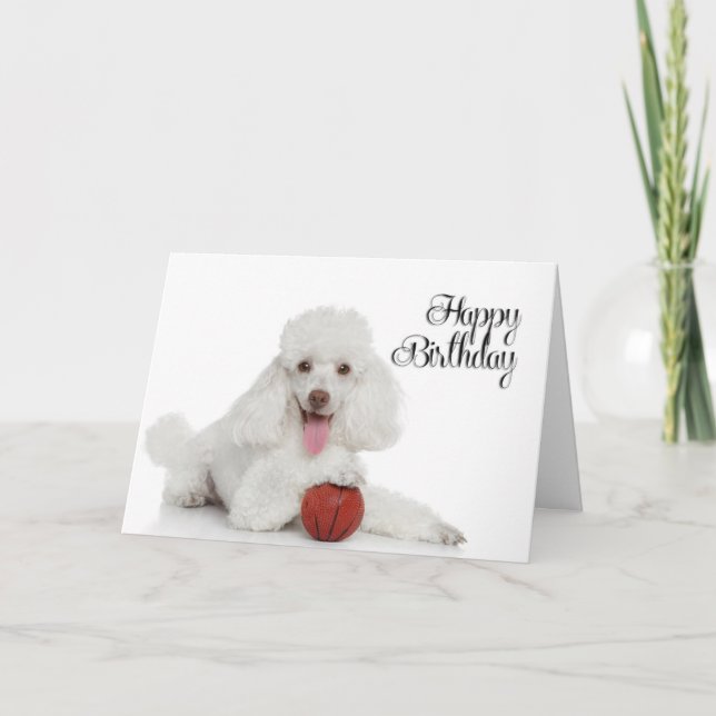 Tarjeta de cumpleaños de Caniche (Anverso)